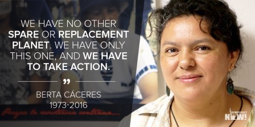 10 Pesan netizen di Hari Lingkungan Hidup, yuk ambil bagian