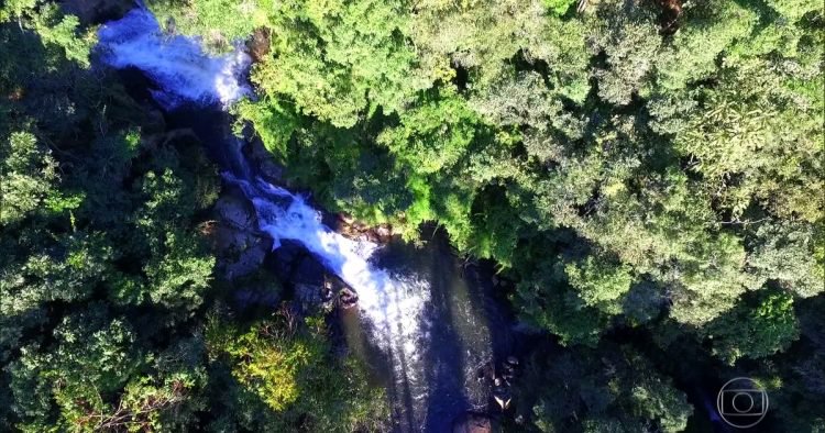 Kakek ini habiskan 40 tahun demi hijaukan hutan, hasilnya luar biasa