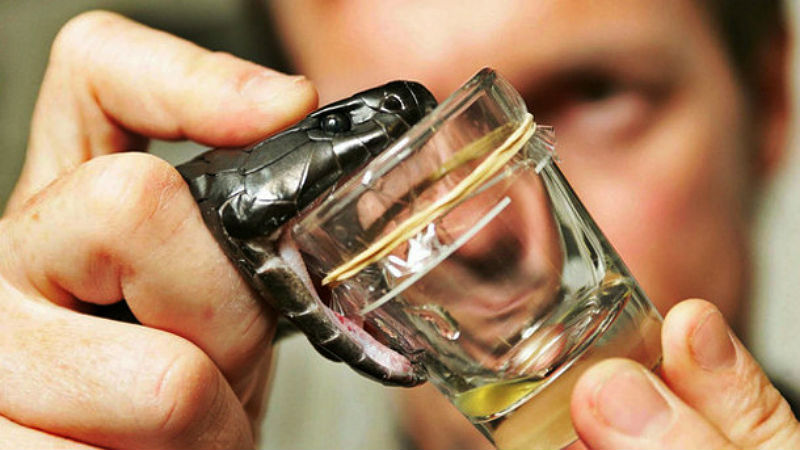 10 Cairan termahal di dunia, ada yang sampai Rp 519 miliar