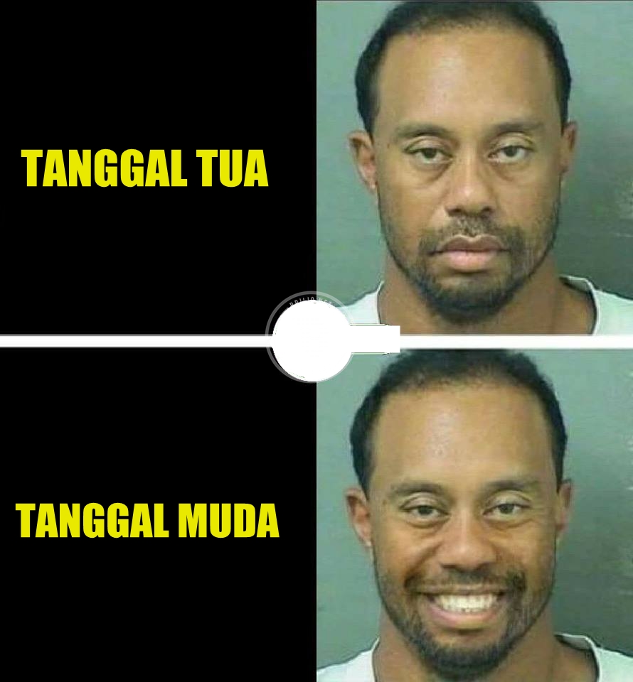 10 Meme beda ekspresi Tiger Woods ini kocaknya minta ampun