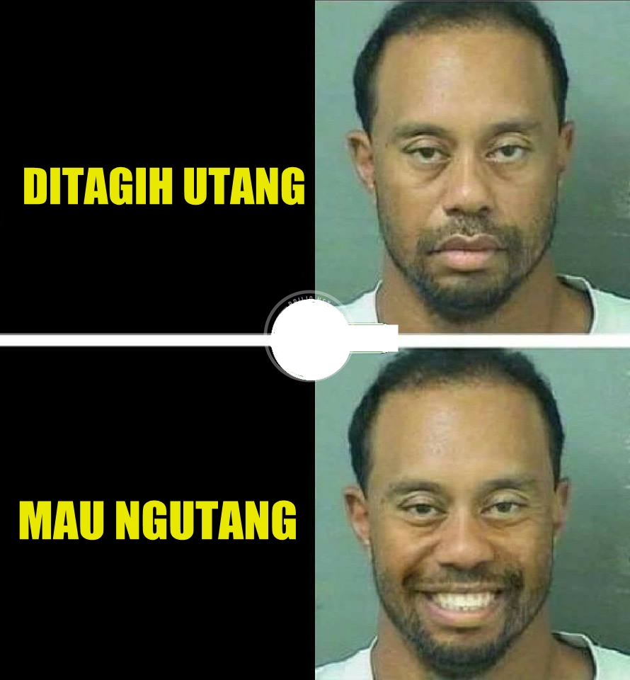 10 Meme beda ekspresi Tiger Woods ini kocaknya minta ampun