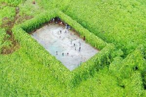 Potret lapangan futsal di tengah hutan ini viral, istimewanya apa ya?