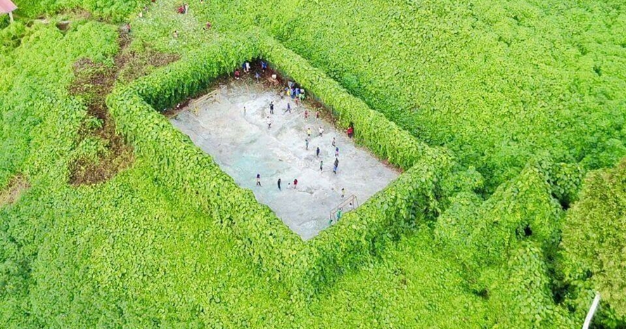 Potret lapangan futsal di tengah hutan ini viral, istimewanya apa ya?