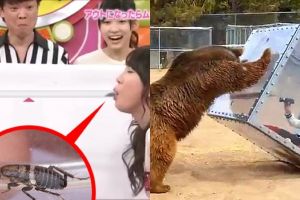 10 Acara televisi teraneh yang pernah tayang ini cuma ada di Jepang