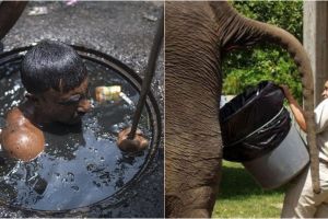 15 Pekerjaan ekstrem ini membuatmu lebih bersyukur dengan keadaanmu