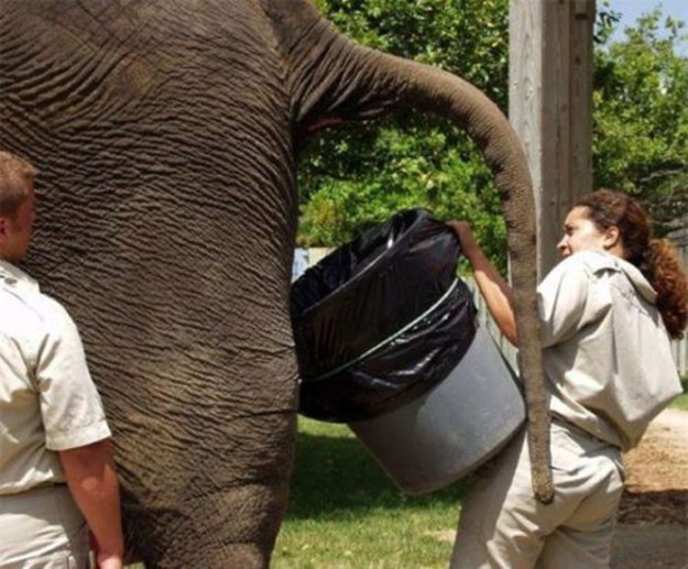 15 Pekerjaan ekstrem ini membuatmu lebih bersyukur dengan keadaanmu