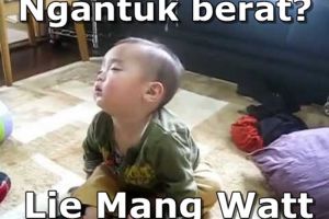 15 Meme ngantuk ini siap-siap bikin matamu seger kembali