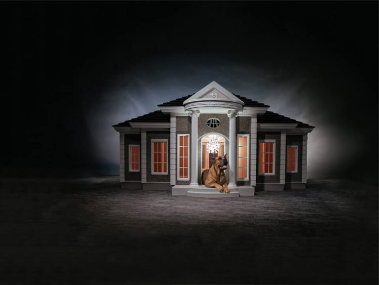 Kandang anjing bentuk rumah ini habiskan 265 juta, apa istimewanya?