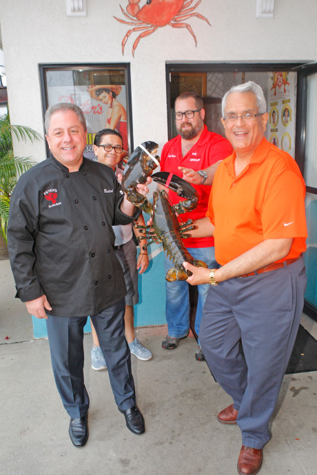 Lobster 9 kg ini harganya Rp 13 juta, pemiliknya pilih lepas ke alam