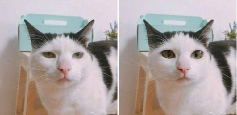 10 Foto before vs after editan master Photoshop, beda sama aslinya