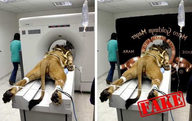 Awas tertipu, 10 foto paling fenomenal ini ternyata cuma hasil editan