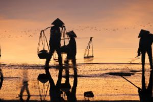 Makin modern, Big Data potensial majukan pertanian Indonesia