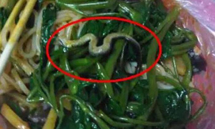 Pesan mi di warung, mahasiswa ini temukan seekor ular dalam mangkuk