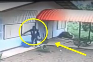 Aksi 'maling profesional' ini dijamin bikin kaget, siap-siap cekikikan