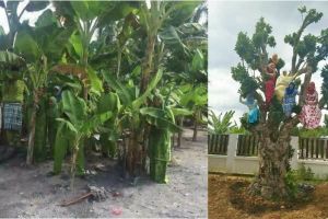 6 Foto bertema hari raya Idul Fitri paling kocak, anti mainstream