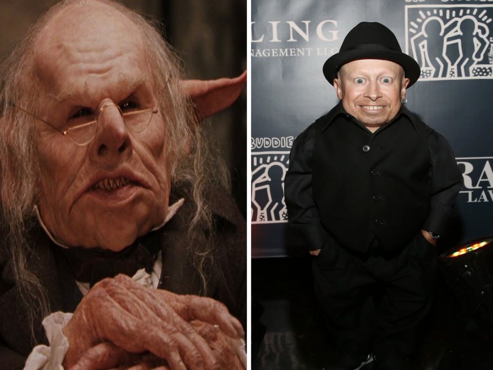 16 Seleb ini nggak kamu sadari ternyata ikut main di film Harry Potter