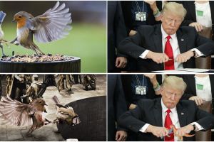 15 Foto ini diedit kelewat ngawur, dijamin kamu nggak bisa nahan tawa