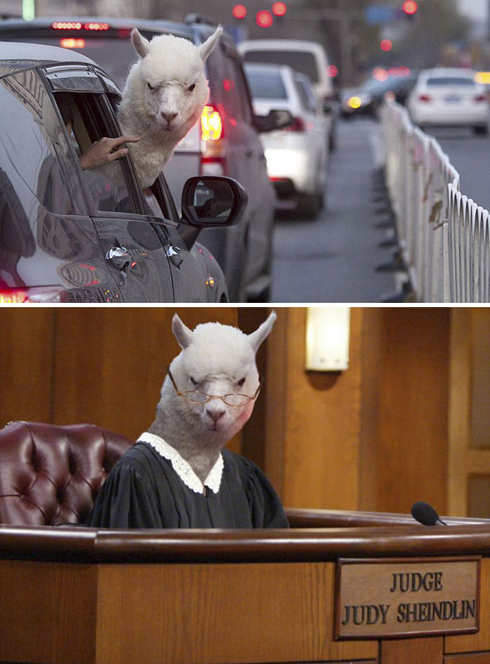 15 Foto ini diedit kelewat ngawur, dijamin kamu nggak bisa nahan tawa