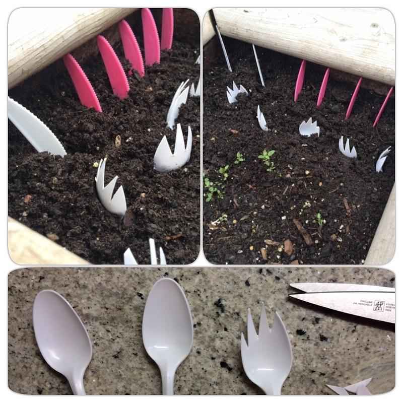 Jangan buang sendok plastikmu, ini 11 kegunaannya untuk berkebun
