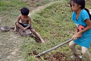 Kisah miris dua anak pencari ular untuk hidupi keluarga