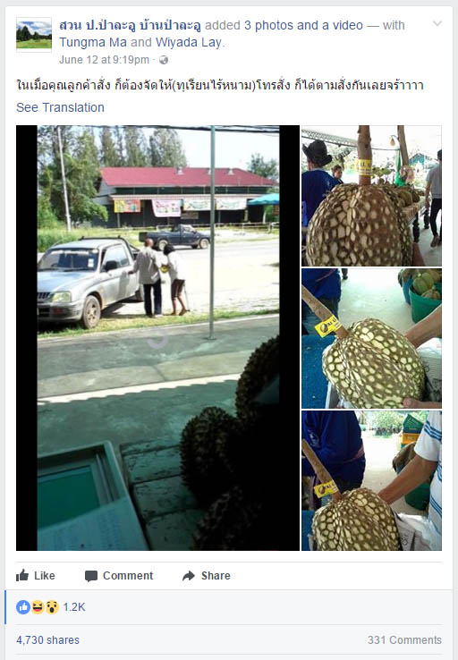 Trik petani ini layak ditiru, hilangkan duri durian dalam 5 menit saja