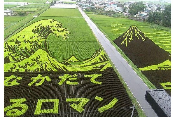 8 Foto sawah ini bukti petani di Jepang kreatifnya kebangetan