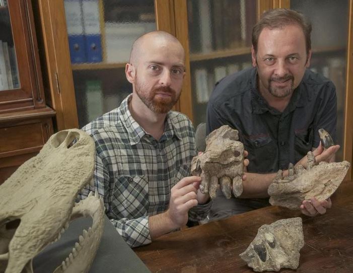 Begini penampakan fosil buaya gigi T-rex, mampu kalahkan dinosaurus