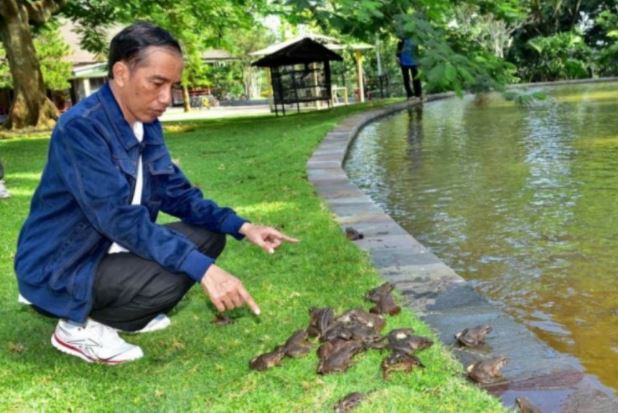 Ini binatang peliharaan 10 pemimpin dunia, dari kodok hingga babi