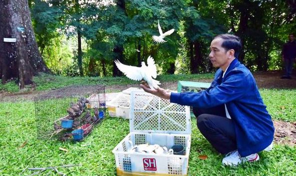 Ini binatang peliharaan 10 pemimpin dunia, dari kodok hingga babi