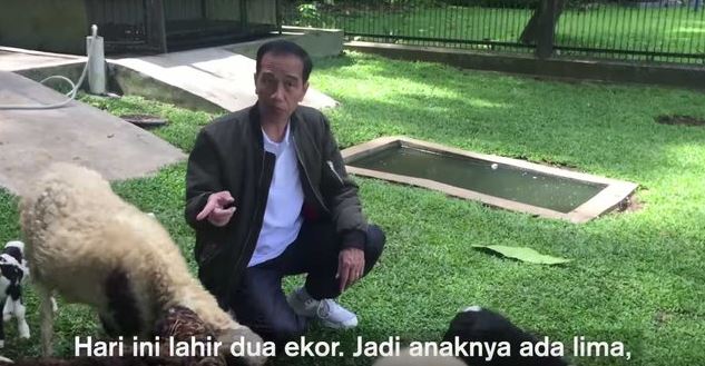 Ini binatang peliharaan 10 pemimpin dunia, dari kodok hingga babi