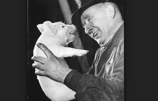 Ini binatang peliharaan 10 pemimpin dunia, dari kodok hingga babi