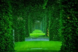 Kamu bakal kaget rahasia di balik taman tengah kota di China ini