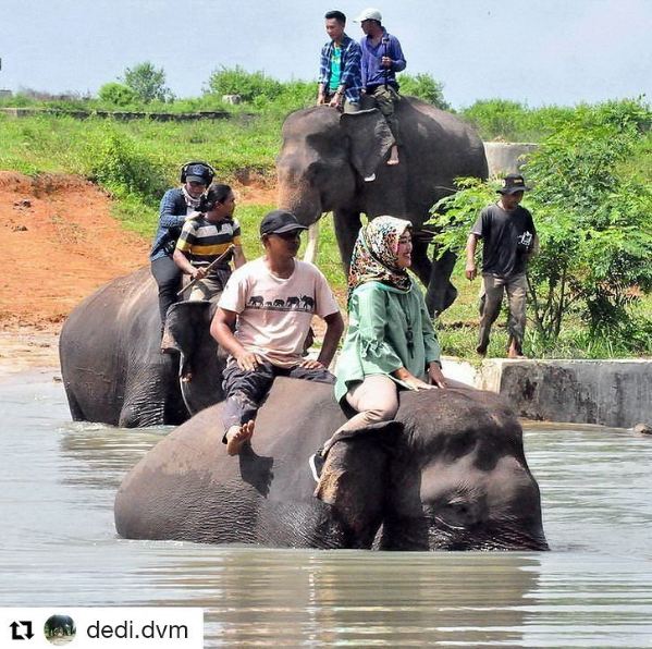10 Foto Bupati Lampung Timur, hijaber cantik yang gemar blusukan