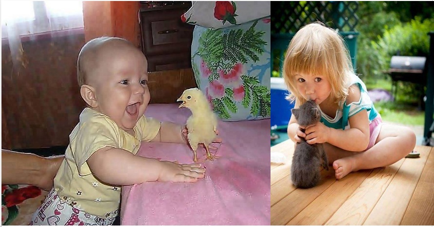 15 Potret kemesraan anak bersama hewan ini bikin gemas maksimal