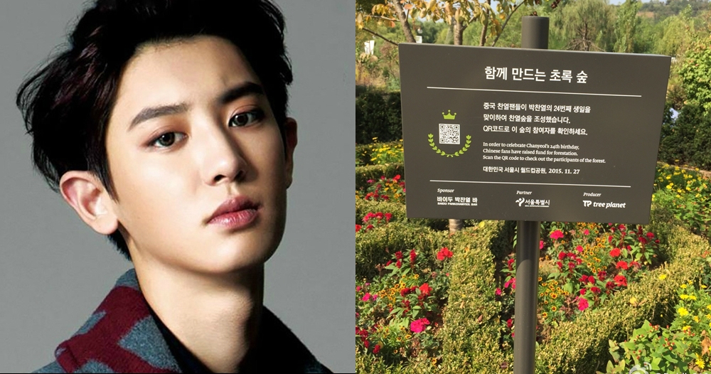 5 Idol K-Pop ini dihadiahi hutan oleh penggemar, berdedikasi banget