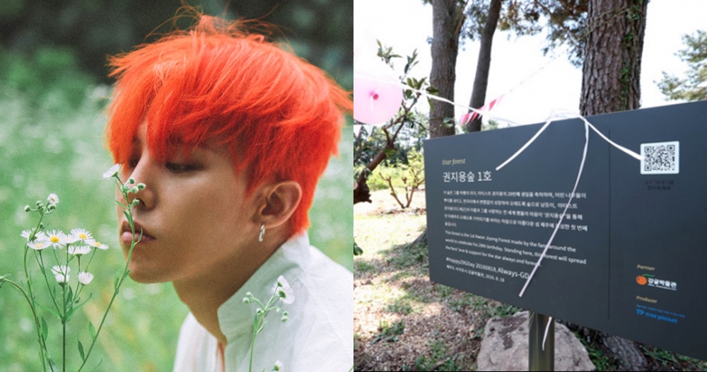 5 Idol K-Pop ini dihadiahi hutan oleh penggemar, berdedikasi banget