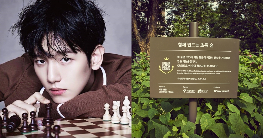 5 Idol K-Pop ini dihadiahi hutan oleh penggemar, berdedikasi banget