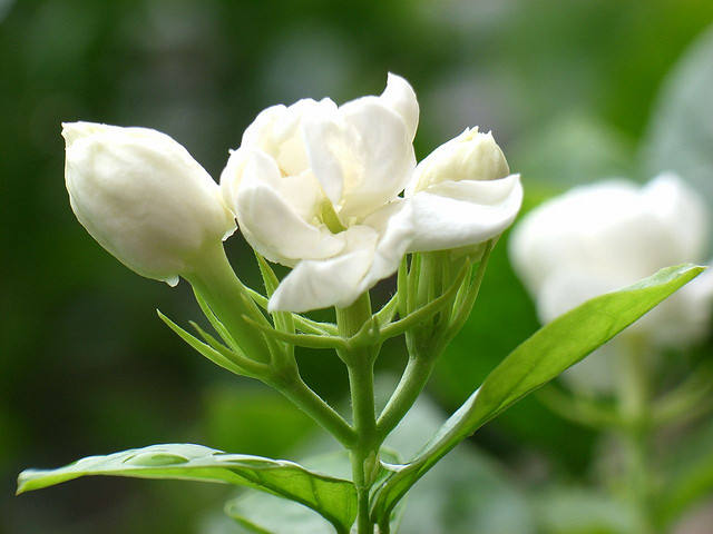 Selain Winnie The Pooh, 8 hal ini tak diduga juga dilarang di China