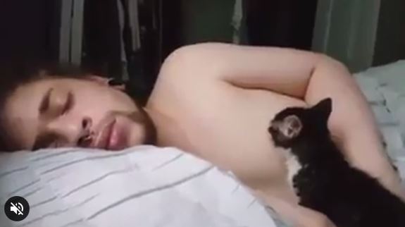 Kamu bakal geli saat tahu apa yang dilakukan kucing ke cowok ini