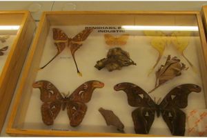 Ini 6 gaya interior kamar kos mahasiswa berdasarkan jurusan kuliahnya