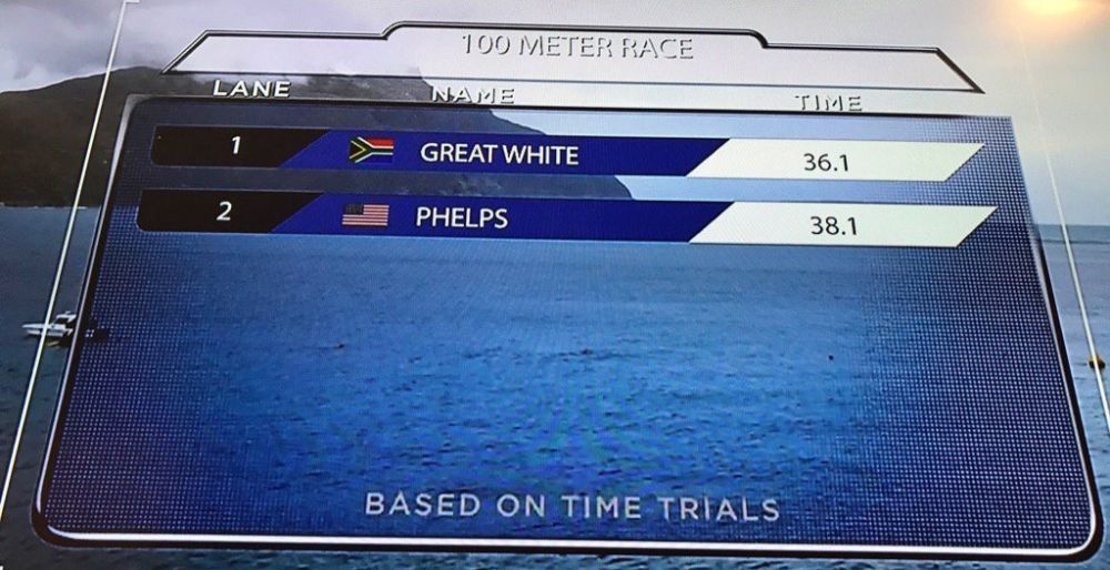 Michael Phelps balap renang lawan hiu, pemenangnya bikin kamu kaget