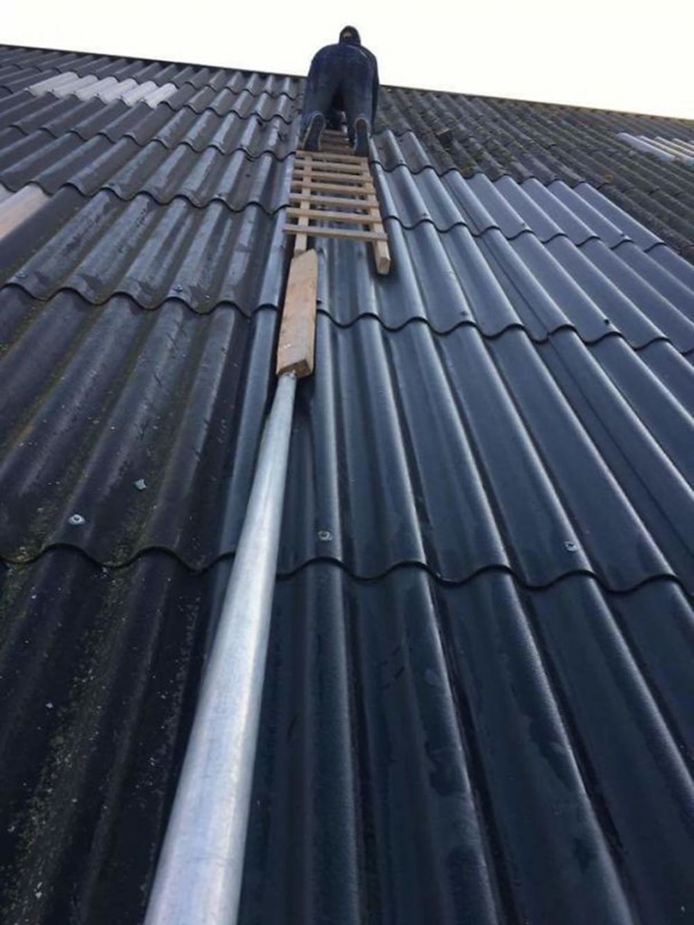 25 Potret kelakuan orang-orang yang nggak sayang nyawa