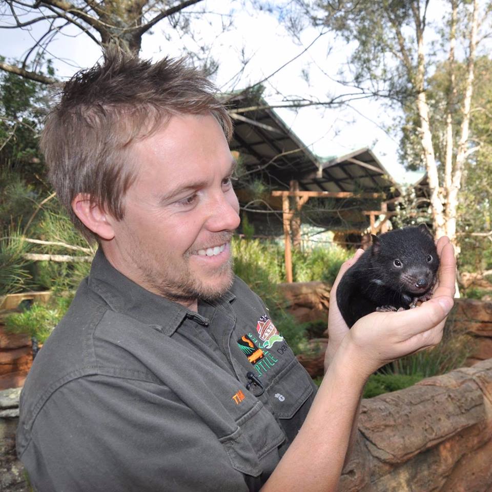 Ini wujud Tasmanian Devils, karakter di Looney Tunes, di dunia nyata