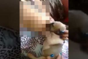 Diusir saat menyusui anjing, wanita ini tuntut restoran hingga Rp 14 M