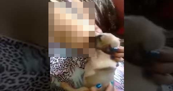 Diusir saat menyusui anjing, wanita ini tuntut restoran hingga Rp 14 M