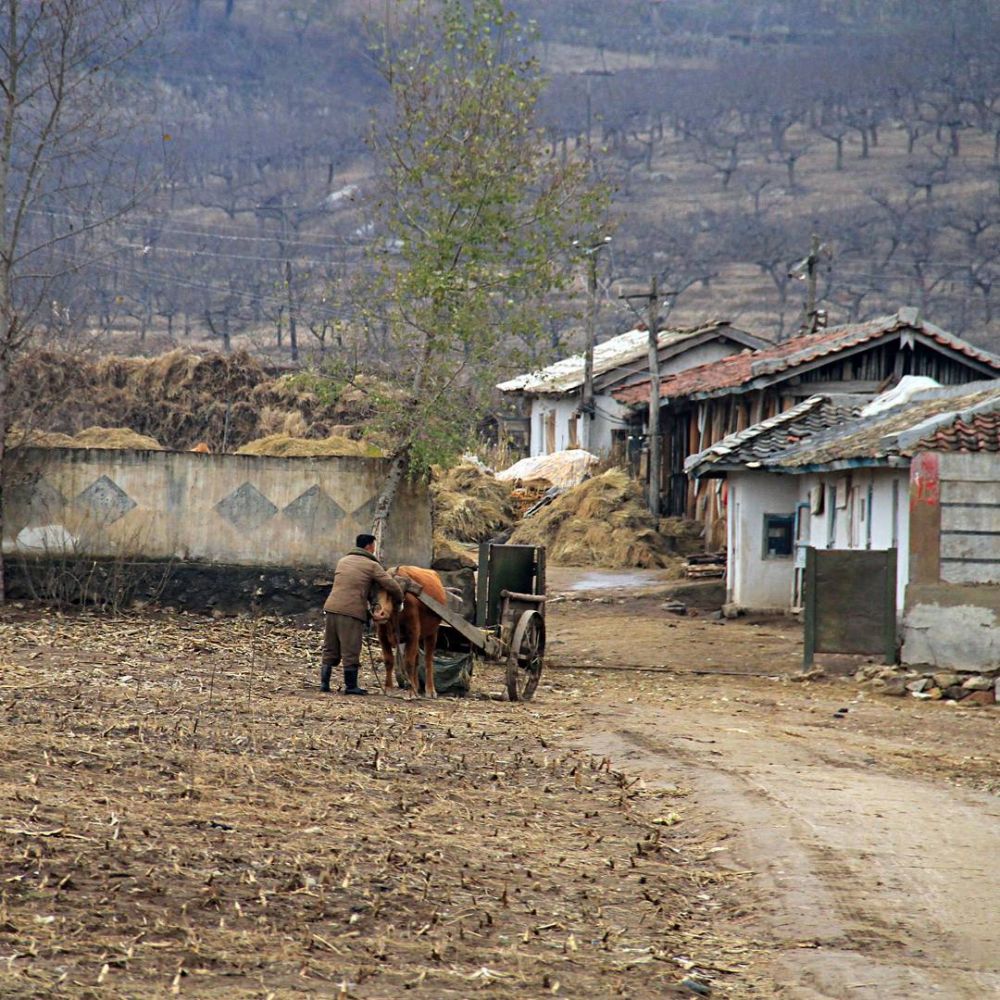 YouTuber Indonesia ini ungkap kehidupan di Korut, begini 15 fotonya
