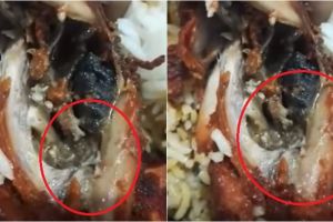 Wanita ini temukan sesuatu yang menjijikan di dalam ayam goreng