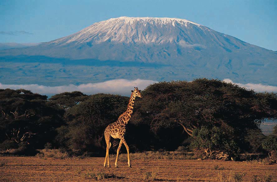 Bocah 8 tahun ini jadi pendaki Kilimanjaro termuda, keren deh!