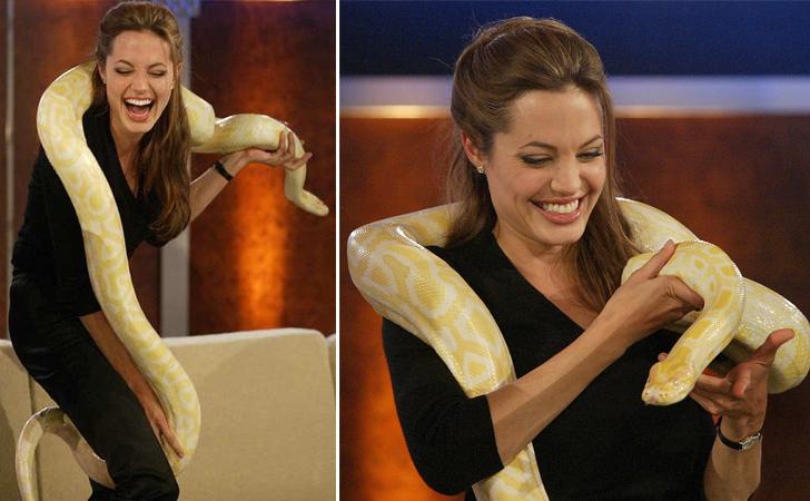 10 Selebriti top ini ternyata nggak takut bermain dengan ular