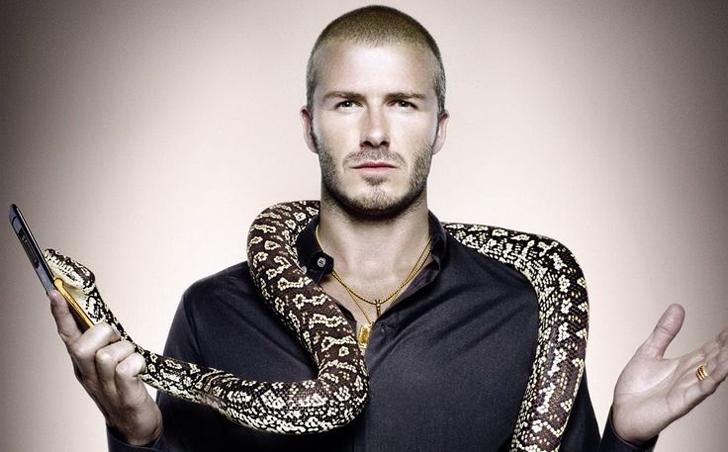10 Selebriti top ini ternyata nggak takut bermain dengan ular